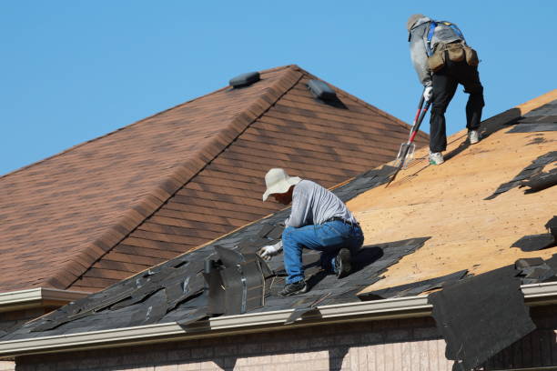 Best Roof Inspection  in , DC