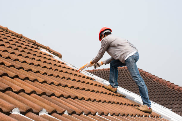 Best Roof Waterproofing  in , DC